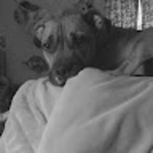 Meet your Posher, Lynneé